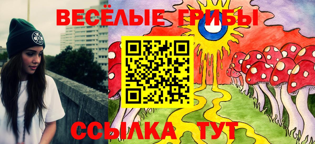Екатеринбург  наркотики  Галлюциногенные грибы Psilocybine cubensis  Вход с VPN  Галлюциногенные грибы MAGIC MUSHROOMS 