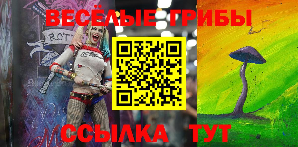 Псилоцибиновые грибы Psilocybine cubensis Екатеринбург